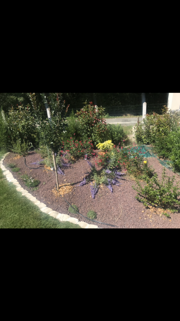 Antoine multiservices — Photos 13